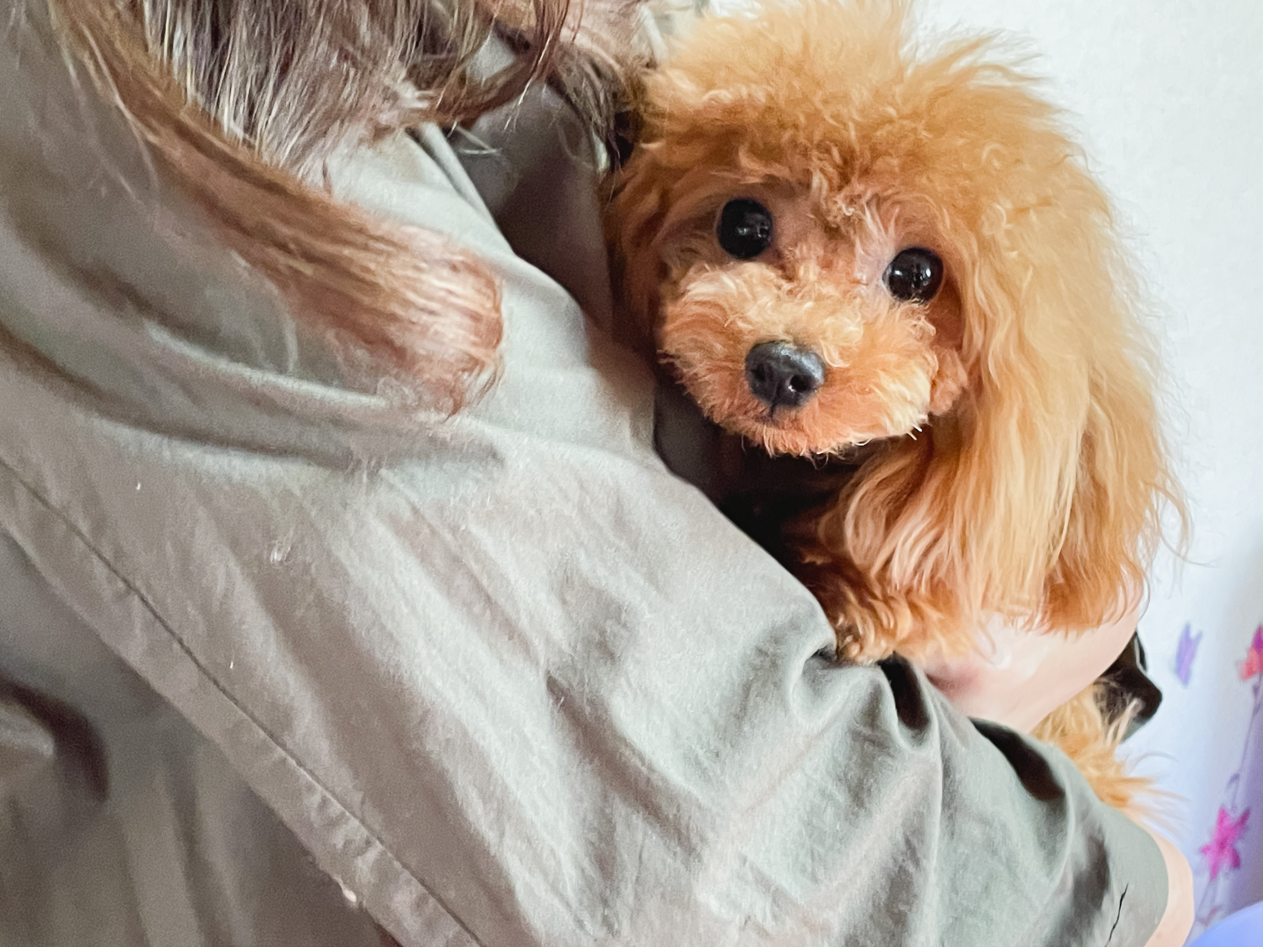 クリスティーナ